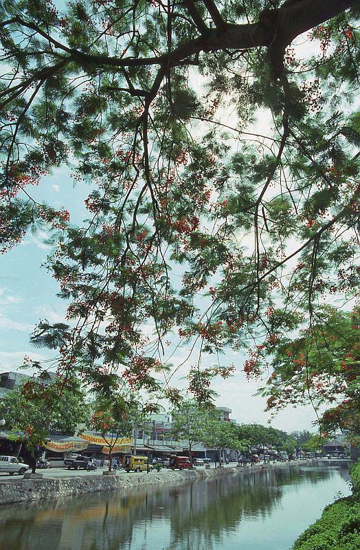 WT 0800 126-18 Thailand Chiang Mai.jpg